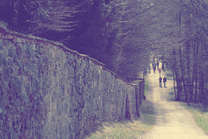 Hitchhiking path on a wall