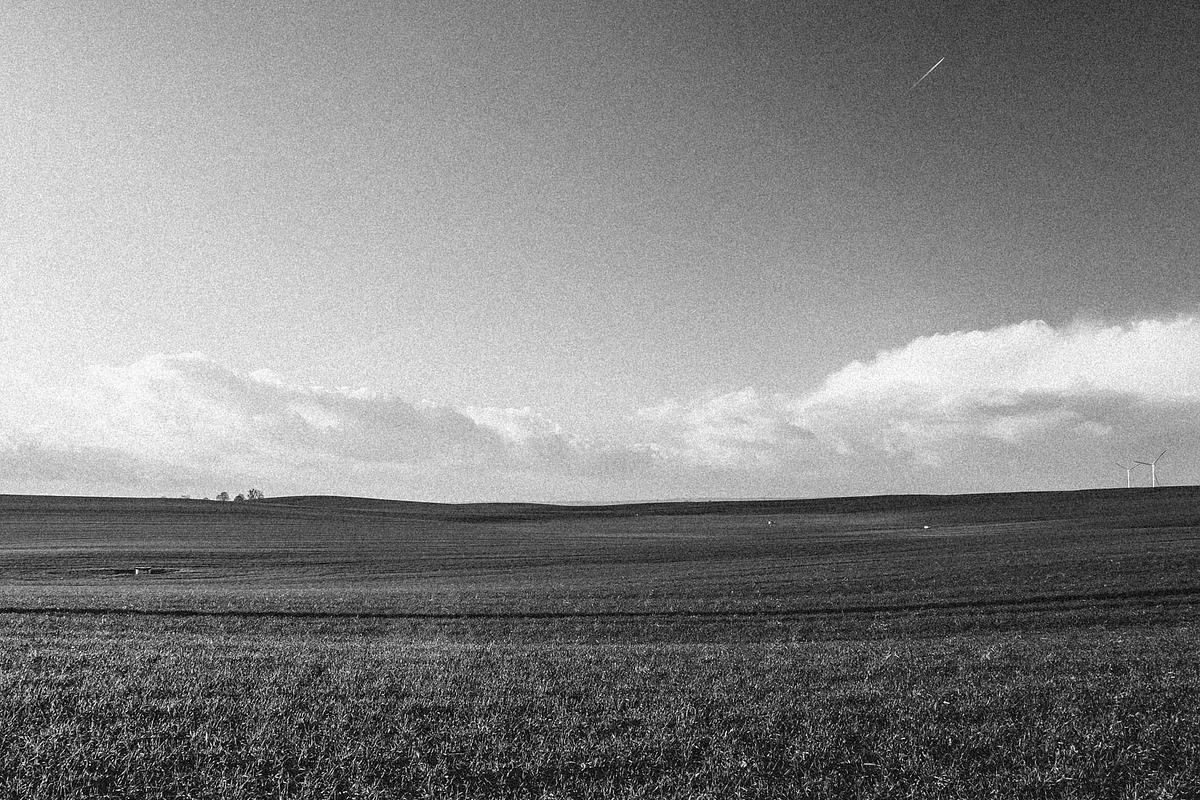 Ilford Delta 3200 Lightroom Presets, an Action Add-On by Daily Studio (Photo 8 of 10)