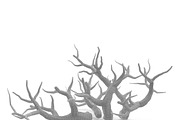 Aquarium Snag Banches V2, an Environmental 3D Model by AndrewWhite (Thumbnail 8 of 8)