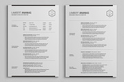2 Pages Resume CV Pack - Lambert, a Resume Template by SNIPESCIENTIST (Thumbnail 2 of 5)