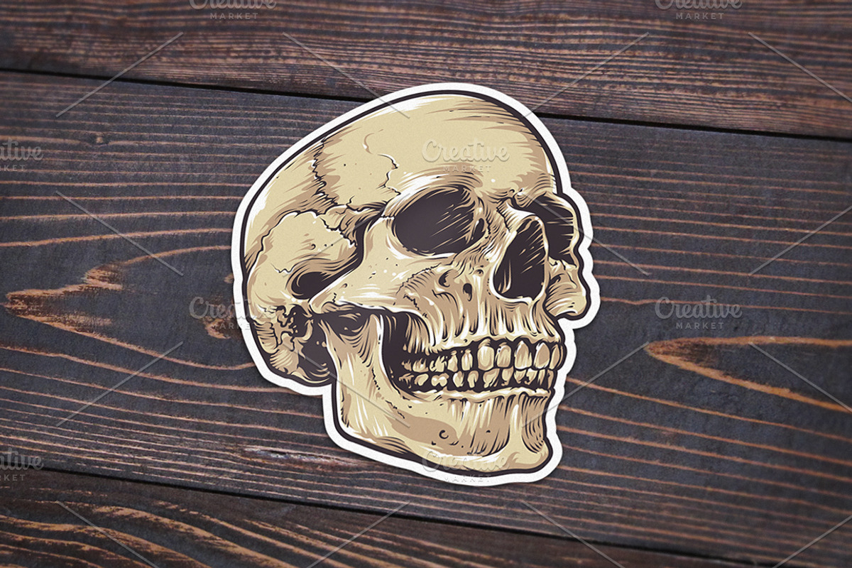 Anatomic Skulls | Vector Pack, a Decorative Illustration by Vecster (Photo 7 of 8)
