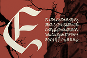 Nowdart | Blackletter Typeface, a Font by Denustudios (Thumbnail 11 of 12)