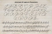 Nebuliqua - Stylish Signature Font, a Script Font by Aksapix Studio (Thumbnail 10 of 11)
