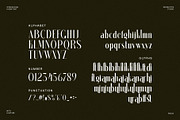 Dalkine Modern Serif Font, a Serif Font by Perfectype (Thumbnail 6 of 6)