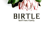 Birtle Serif 3 Font Family Pack, a Serif Font by Creativetacos (Thumbnail 1 of 5)