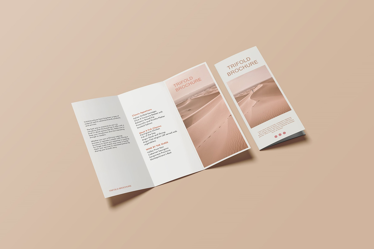 Trifold Brochure Mockup, a Books & Magazine Mockup by Lxadesign (Photo 13 of 18)