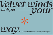Valore Pro – Classic Modern Typeface, a Serif Font by Nollev (Thumbnail 12 of 12)