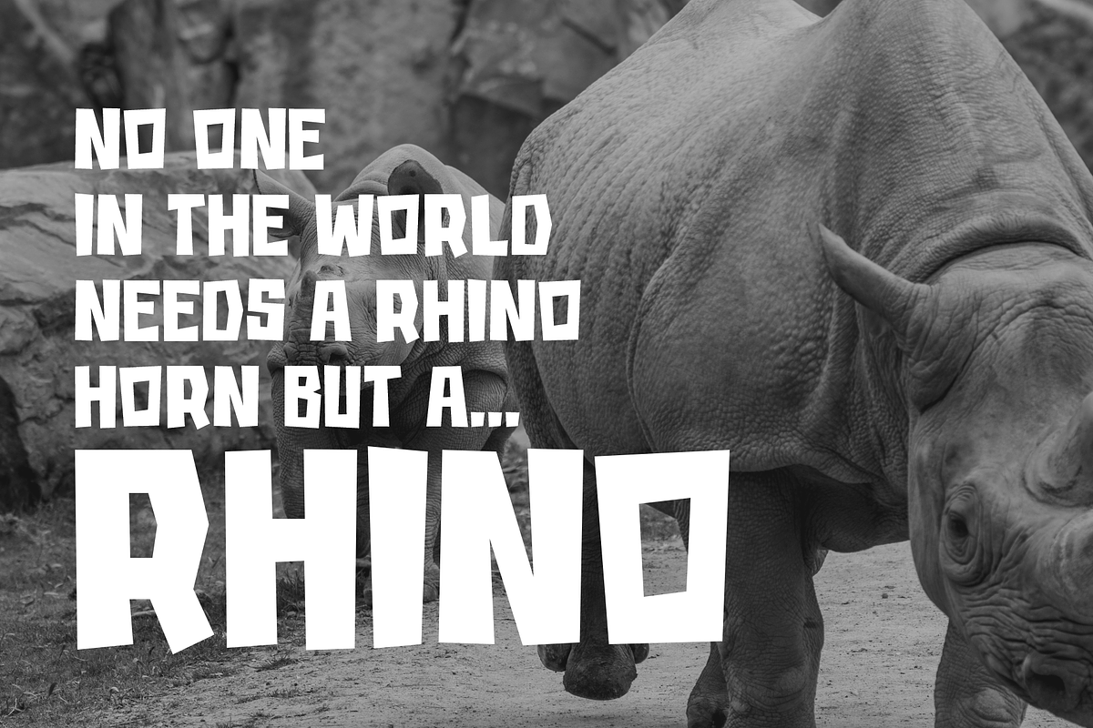 Rhino, a Sans Serif Font by almazstudio (Photo 4 of 8)