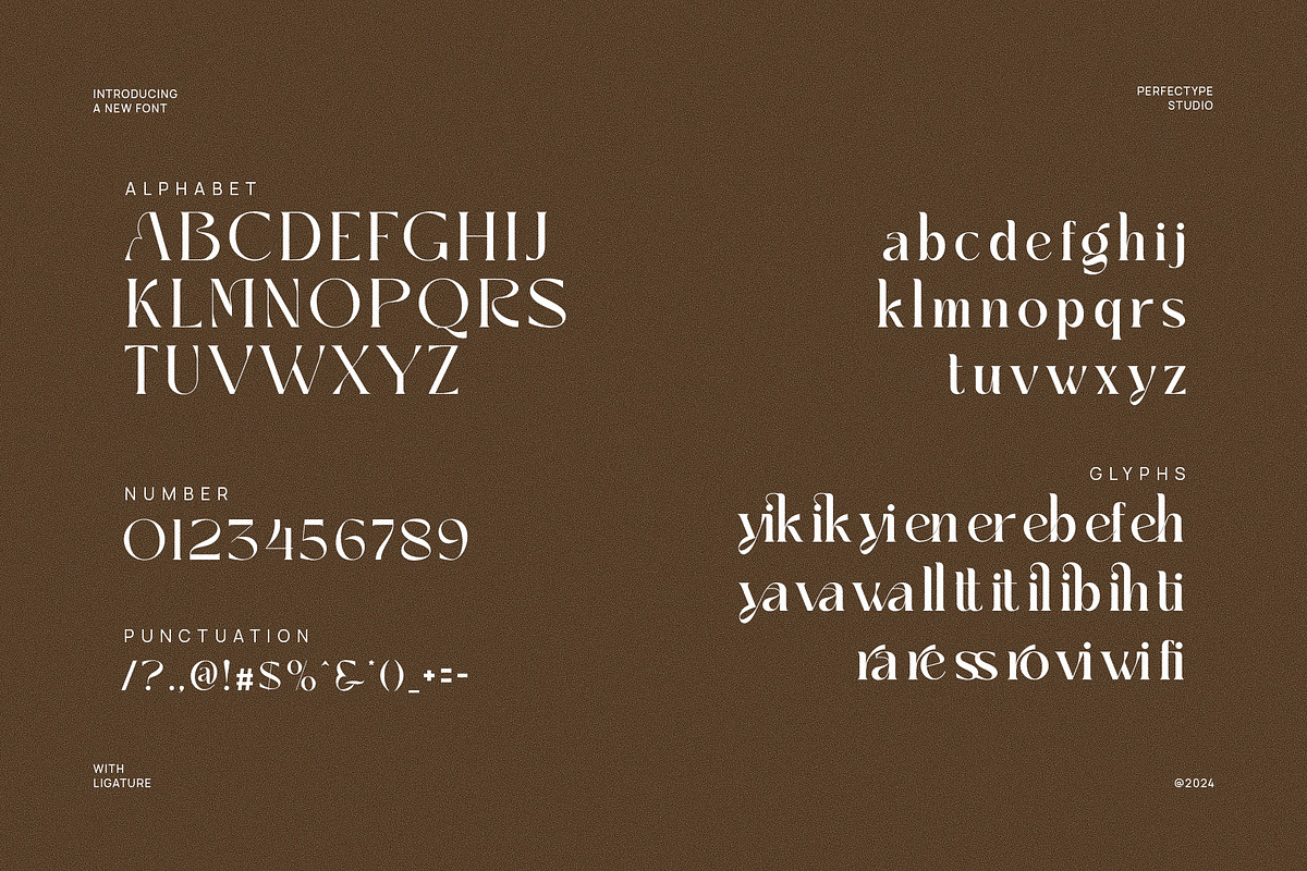 Sayiker Modern Ligature Serif Font, a Serif Font by Perfectype (Photo 6 of 6)