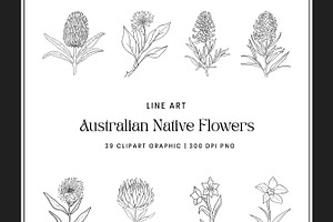 Australian Native Flowers Clipart