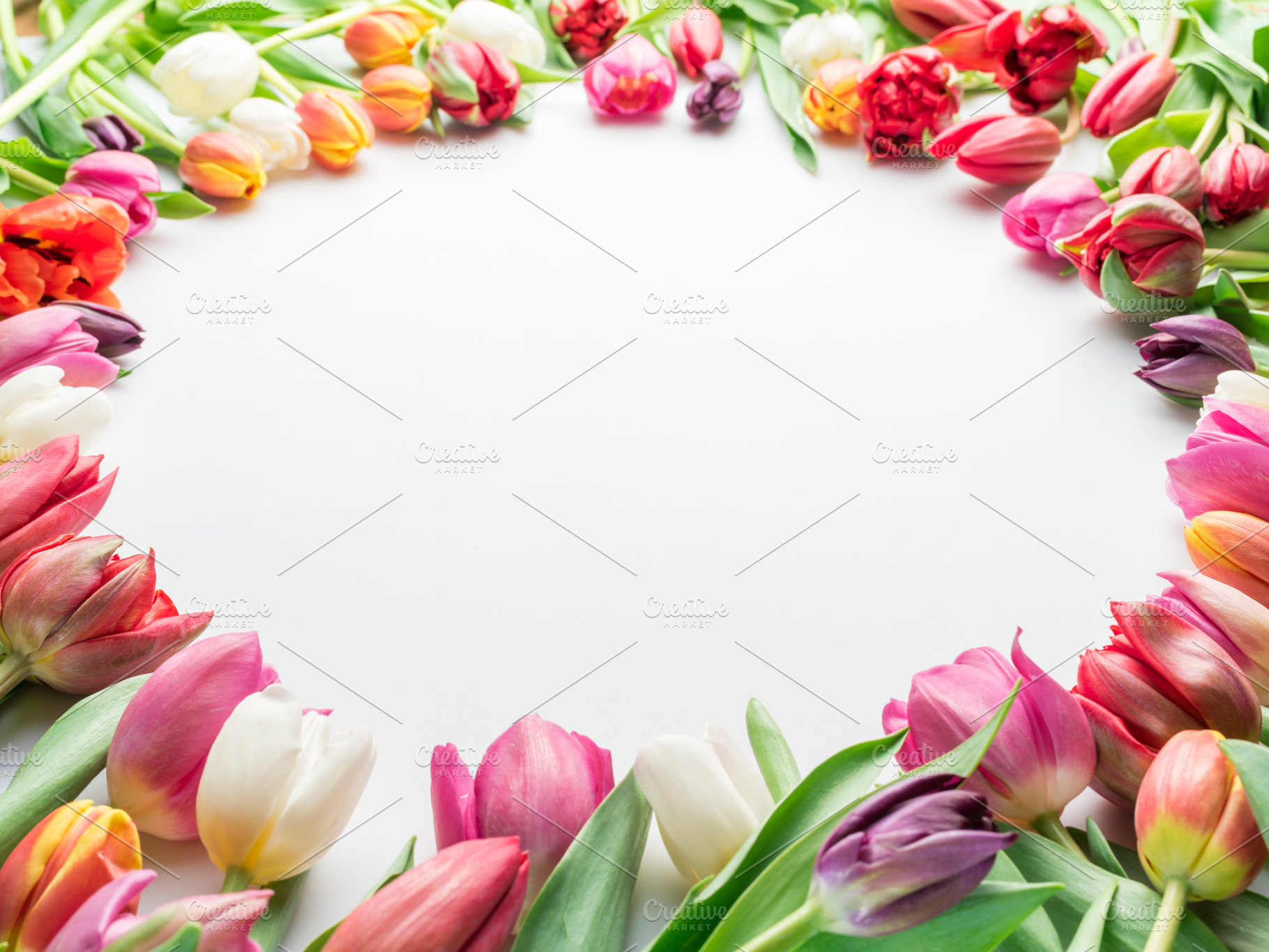 Colorful bouquet of tulips on white, a Holiday Photo by Volff