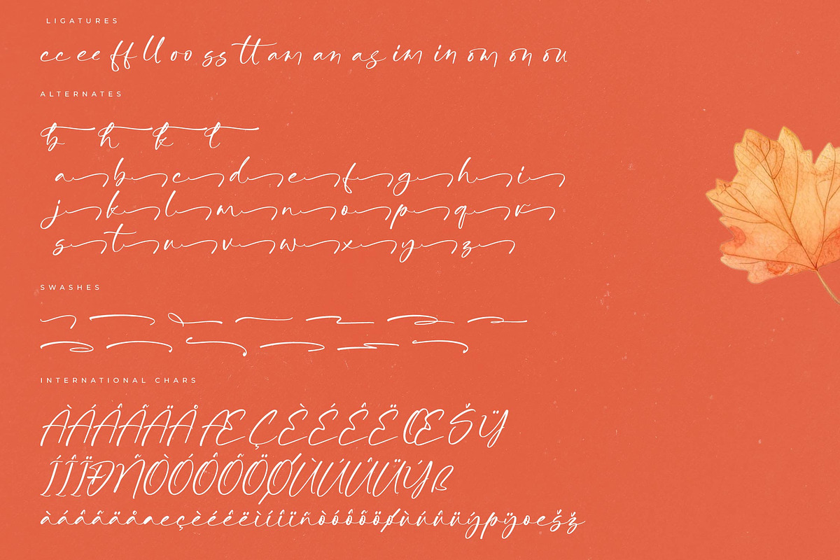 Autumn Silent Modern Handwritten, a Script Font by Letterena Studios Script (Photo 13 of 15)
