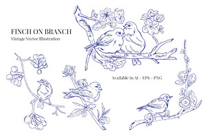 Finch on Branch Vintage Illustration