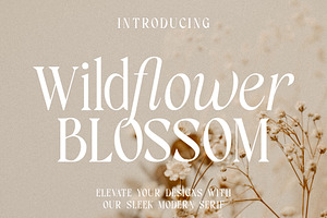 Wildflower Blossom - Modern Serif