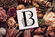 Blossom Font + EXTRAS, a Slab Serif Font by Chimerique (Thumbnail 6 of 14)