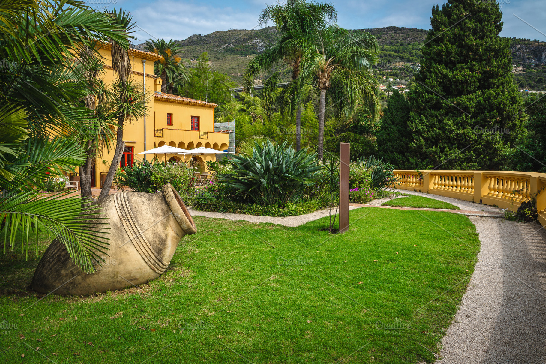 Garden with various green plants, a Nature Photo by Alpine Dreams