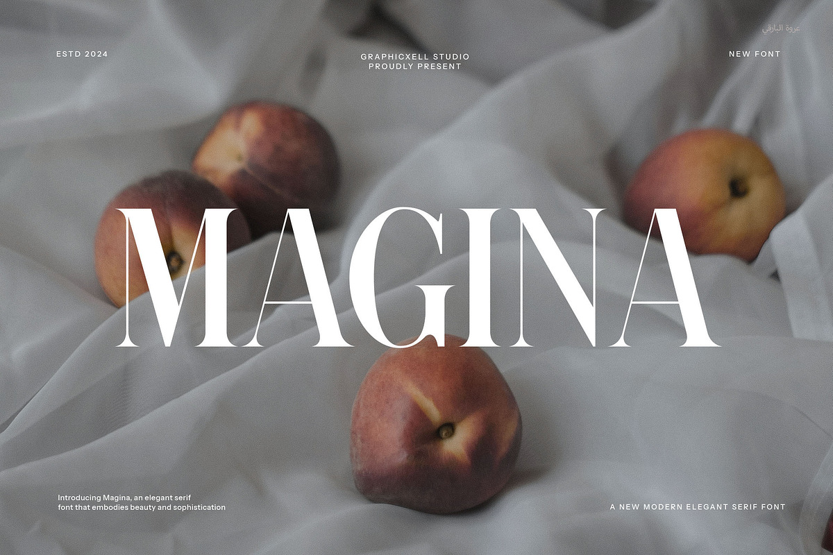 Magina Modern Serif Font By Graphicxell