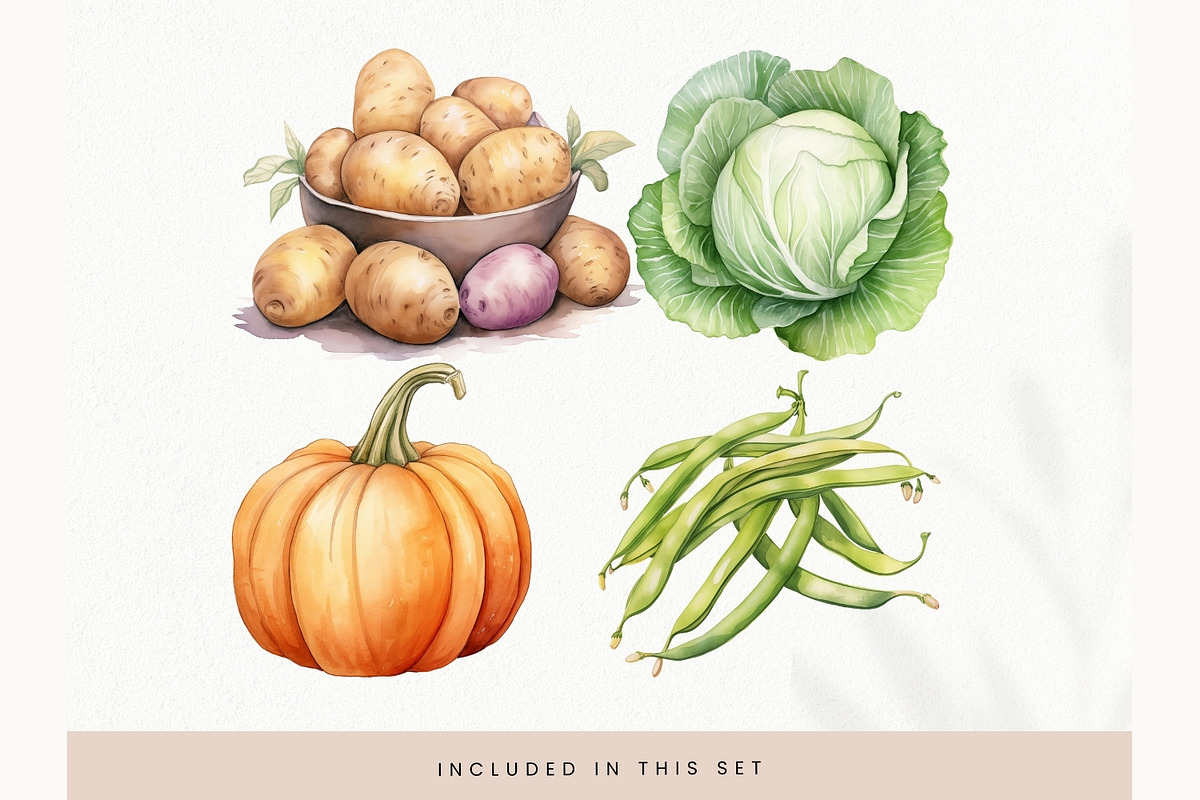 Watercolor Vegetables Clipart, Fresh, a Decorative Illustration by illuztrate (Photo 5 of 9)