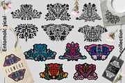 Entomological collection insect, a Decorative Illustration by Moonflora (Thumbnail 8 of 13)