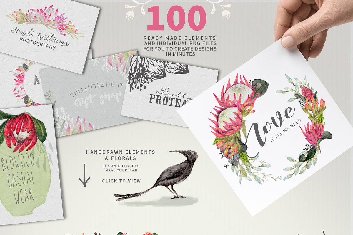 WATERCOLOR Protea Logo & Card Kit, an Illustration by Ingrid Marais Design (Photo 2 of 5)
