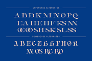 Vagly - Branding Logo Font, a Serif Font by Nirmana Visual (Thumbnail 11 of 11)