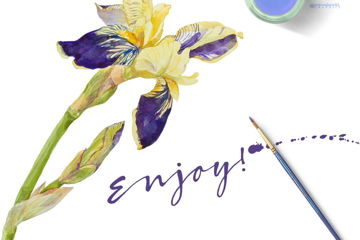 TheArtsyIrisCollection-Clipart, an Illustration by watercolorwild.graphics (Photo 13 of 13)