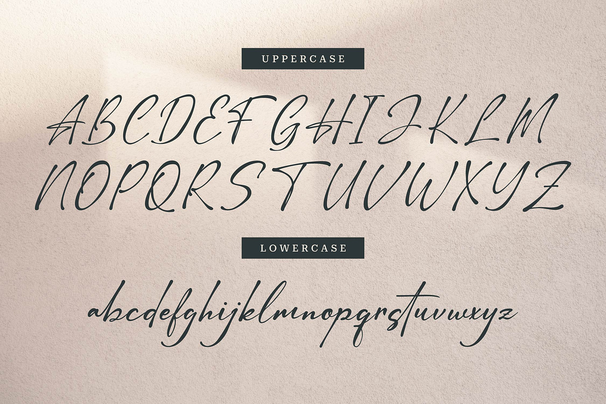 Barettiny Monteilo | Script Font, a Script Font by Denustudios (Photo 10 of 14)
