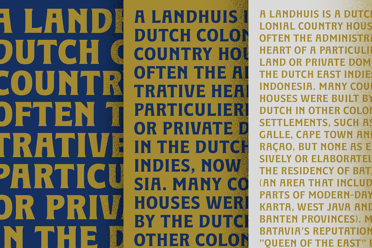 LANDHUIS - 8 Fonts, a Serif Font by Nasir Udin (Photo 15 of 15)