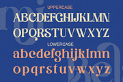 Belami - Modern Retro Stylish Serif, a Serif Font by Qweera Studio (Thumbnail 11 of 12)