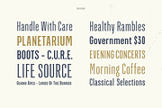Green Grove // 3 fonts, a Serif Font by True Story Letterworks (Thumbnail 7 of 12)