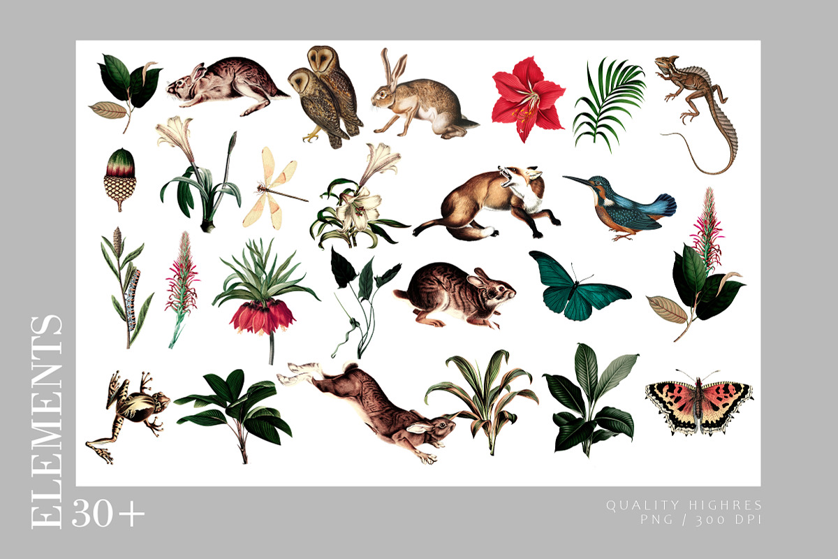Garden, luxury SS2024 Print, a Wallpaper Graphic by Luiz da Rolt Grathwohl (Photo 3 of 12)