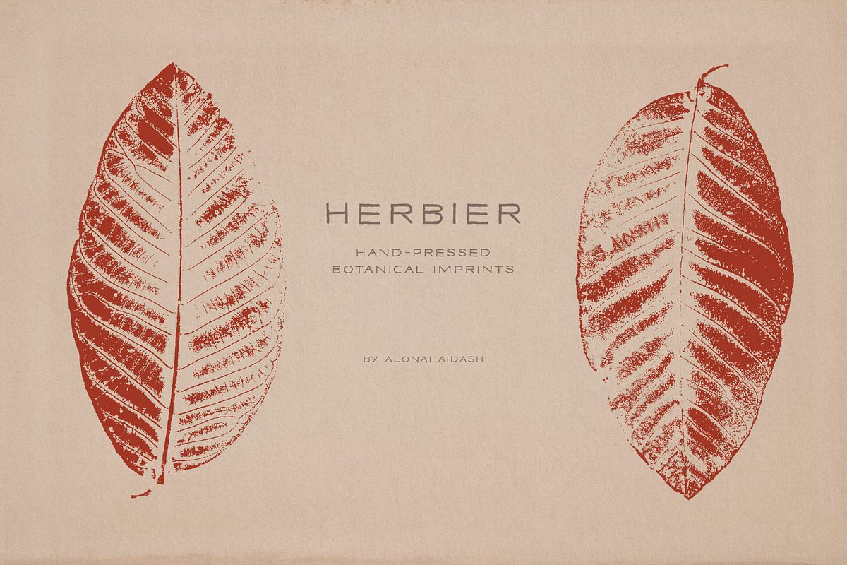 Hand-Pressed Botanical Imprints, an Object Graphic by alonahaidash (Photo 12 of 13)