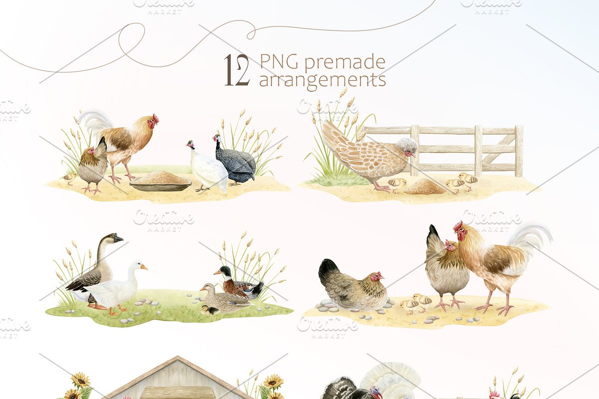 Poultry Yard Watercolors Farm Birds, an Animal Illustration by Elena Malgina Clipart (Photo 3 of 7)