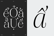 Dupioni Thin - Ligature Serif, a Serif Font by Silktype (Thumbnail 17 of 20)