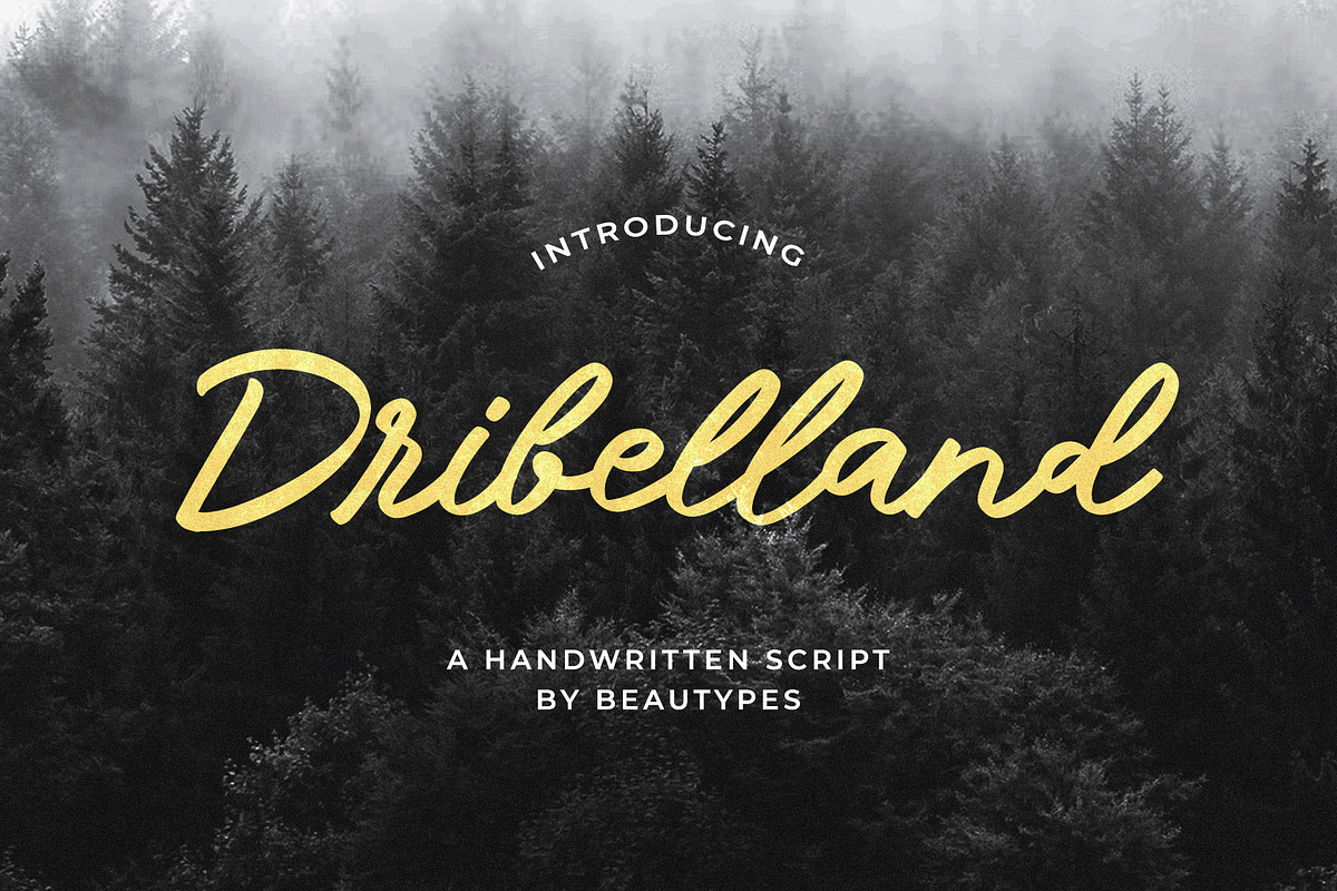 Dribelland - a handwritten font, a Script Font by Beautypes (Photo 1 of 7)