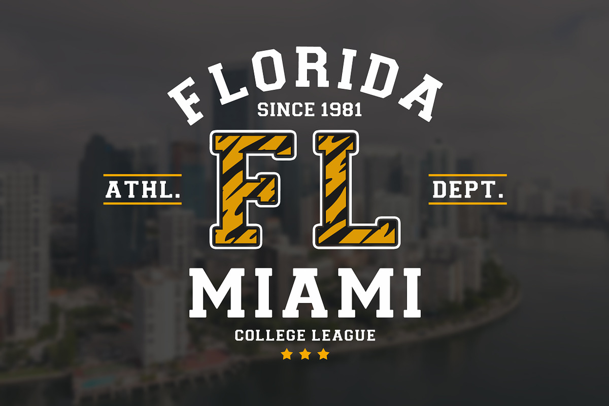 College League Font - Display Font, a Font by GlitzyGrapix (Photo 3 of 10)