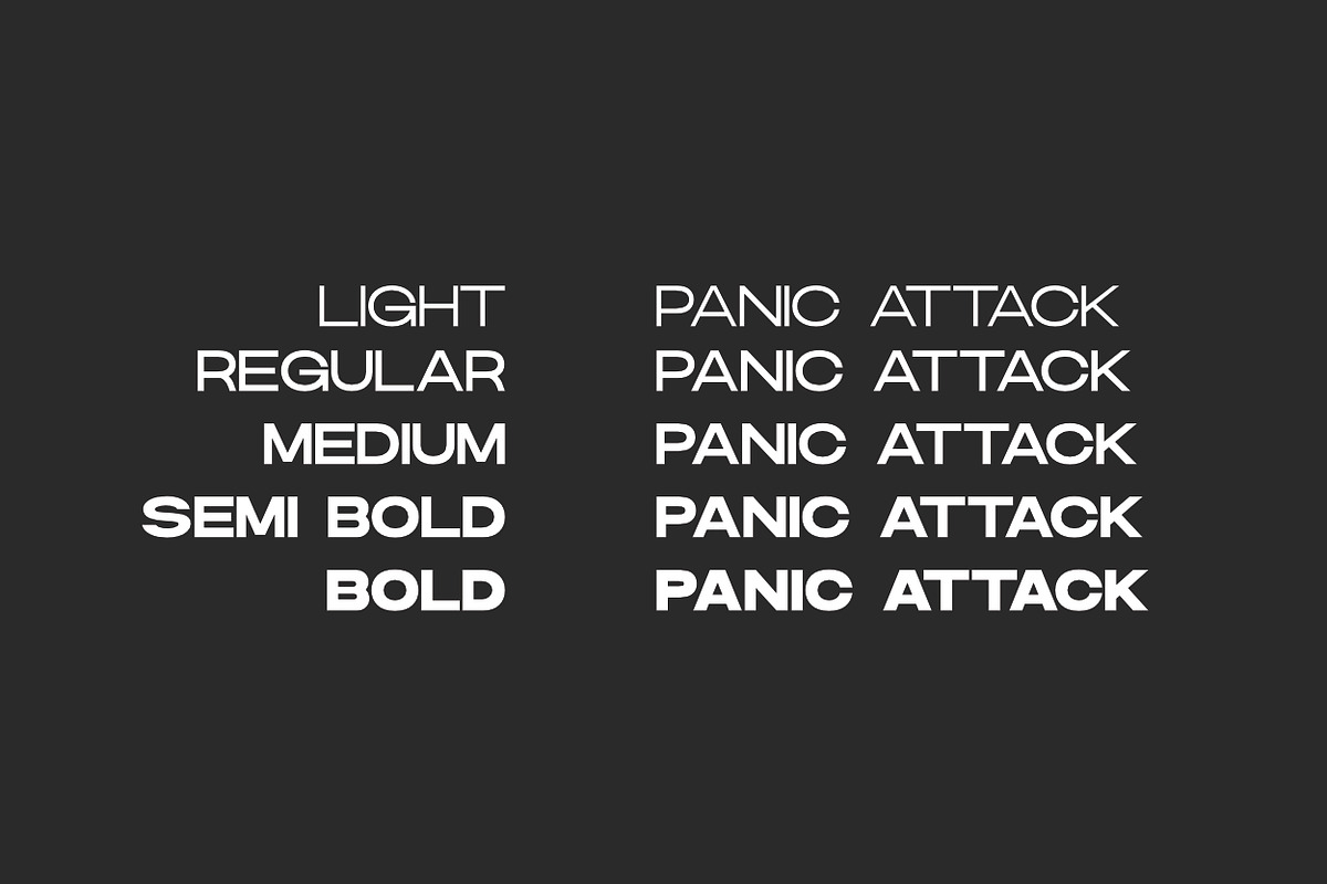 Danson Modern Logo Font Family, a Sans Serif Font by Andika Fez (Photo 5 of 10)