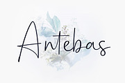 Antebas - Hand Display Script, a Script Font by Aantebas (Thumbnail 1 of 7)