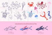 Hand-Drawn Marine Clipart & Patterns, a Decorative Illustration by CapriceMeDesigns (Thumbnail 5 of 21)