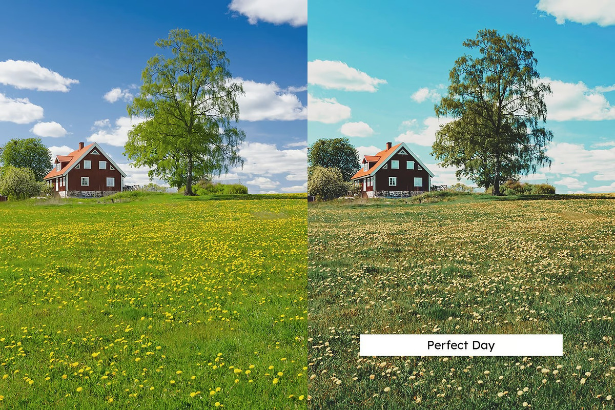 20 Meadow Lightroom Presets and LUTs, a Preset Add-On by Hubzway (Photo 6 of 10)