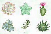 Watercolor Succulent Clipart, an Illustration by Creative Art (Thumbnail 3 of 10)