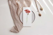 Watercolor Wildflowers Botanical Set, a Decorative Illustration by BarvArt (Thumbnail 2 of 22)