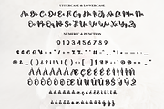 Newborn | Script Font, a Handwritten Font by Scratchones (Thumbnail 7 of 9)