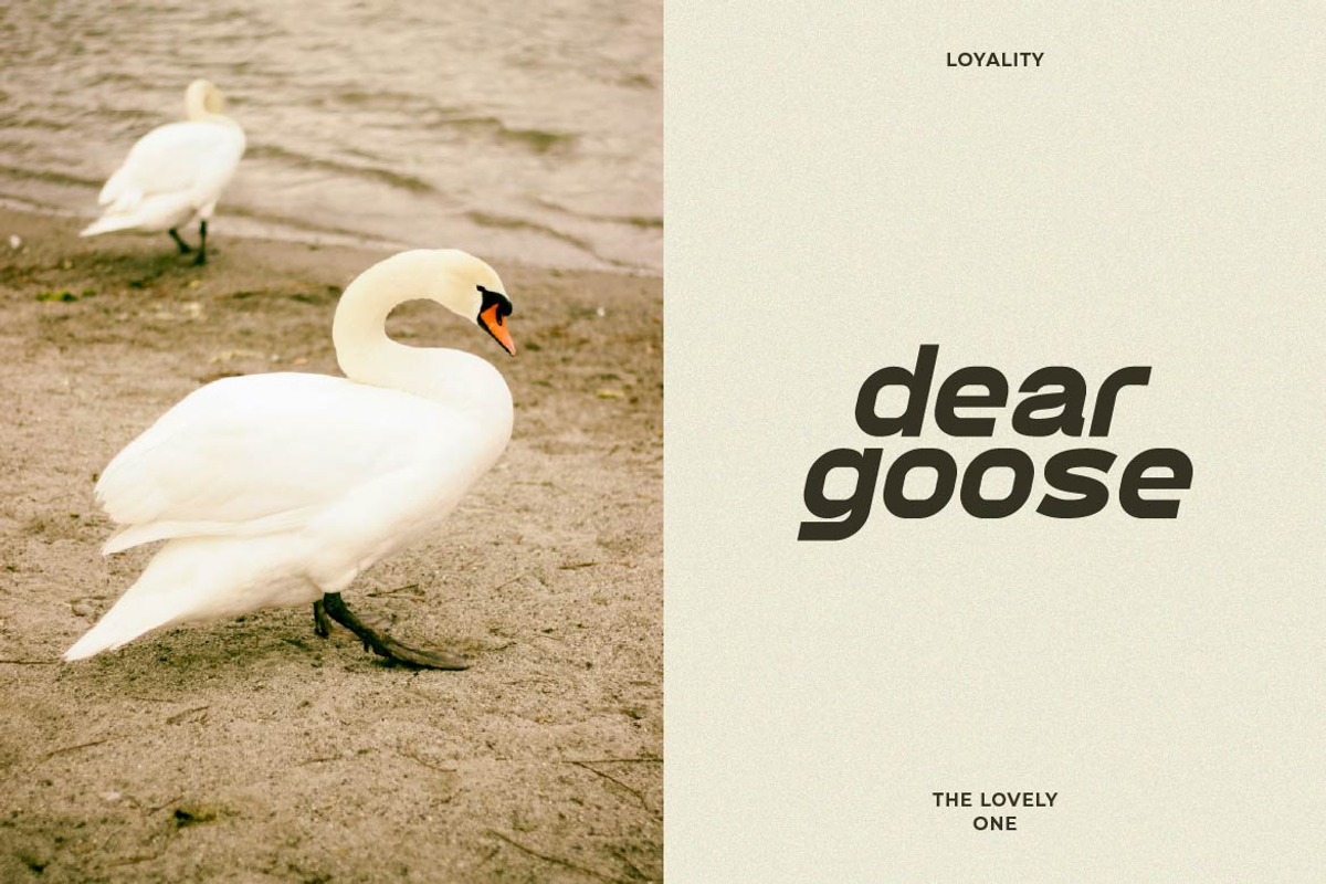 Attort Modern Elegant Font, a Sans Serif Font by Artiveko (Photo 5 of 8)