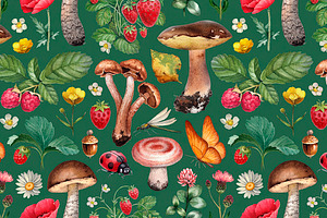 Summer Nature Illustrations Kit