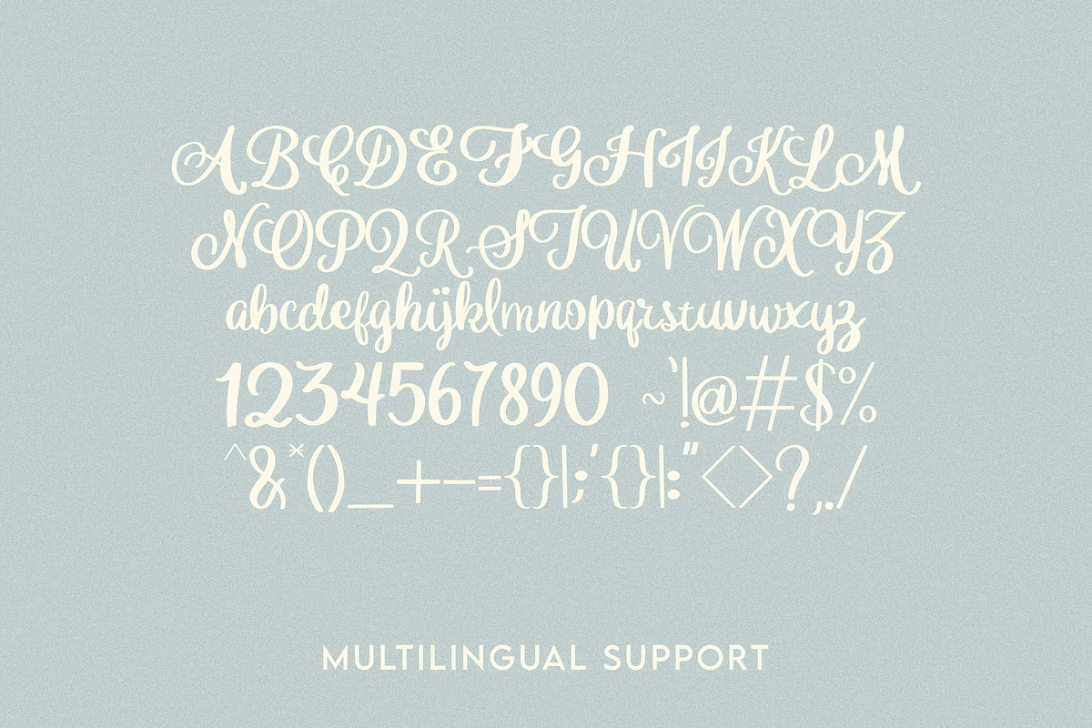 Softaline, a Handwritten Font by Dm Studio (Photo 5 of 5)