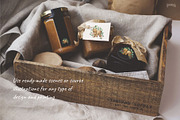 Woodland stories watercolor set, an Animal Illustration by Lososenok (Thumbnail 9 of 12)