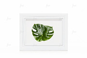 White 5x7 frame isolated mockup, a Print Template by JustLikeMyDesktop (Thumbnail 1 of 3)