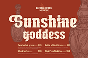 Ruihant | Retro Condensed Font, a Serif Font by twinstd (Thumbnail 3 of 12)