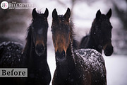 The Snow Textures Pack, a Layer Style Add-On by The Bell Sisters (Thumbnail 2 of 7)